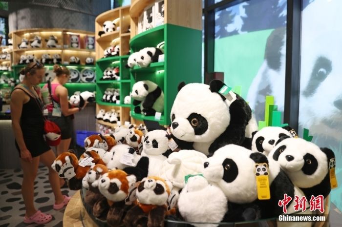 成都大运会期间，成都大熊猫繁育研究基地成为参赛代表团成员闲暇之余的热门打卡点，这里的大熊猫玩偶、背包、帽子、扇子、水杯等诸多“大熊猫元素”的文创产品备受中外参观者的青睐。</p><p>
    　　中新社记者 刘占昆 摄